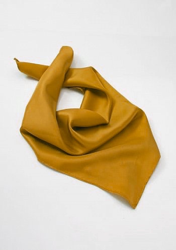 Profitez du meilleur pressing pour votre carré de soie foulard à Aix-en-Provence : Dailywash